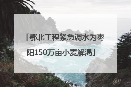 鄂北工程紧急调水为枣阳150万亩小麦解渴
